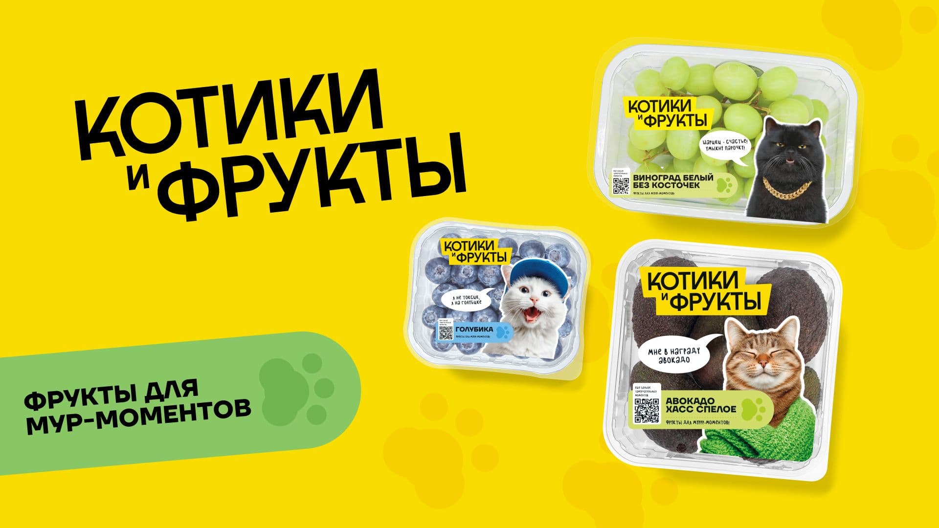 Котики и фрукты обложка