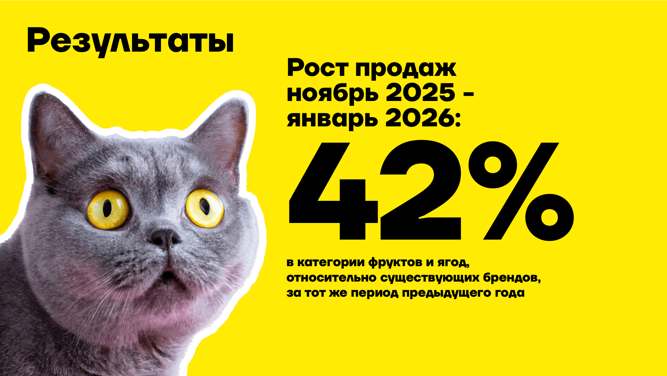 Котики и фрукты результаты